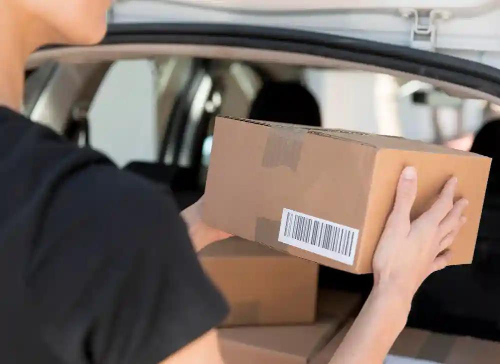 business and investment